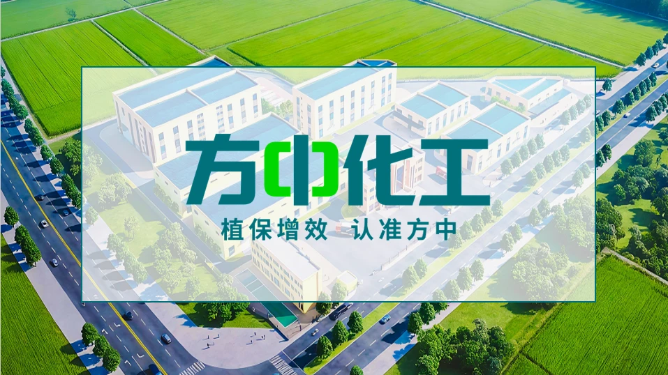 从战略蓝图，到增长实战：英扬传奇×方中化工，让战略导入经营现场
